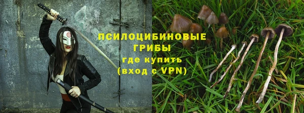 бутират Гусев