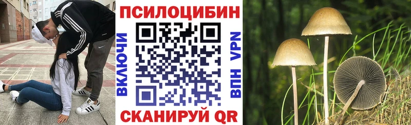 Галлюциногенные грибы прущие грибы  Купить где  Златоуст 